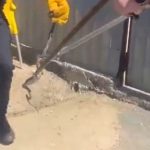 jandarmii solicitati sa scoata un sarpe de sub capota unei masini ce este de facut in astfel de situatii 69ee724f235c0