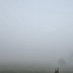 judetul constanta sub cod galben de ceata densa 69e1c907d33c6