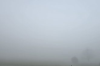 judetul constanta sub cod galben de ceata densa 69e1c907d33c6