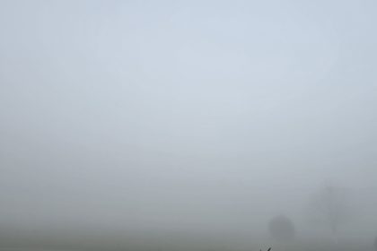 judetul constanta sub cod galben de ceata densa 69e1c907d33c6