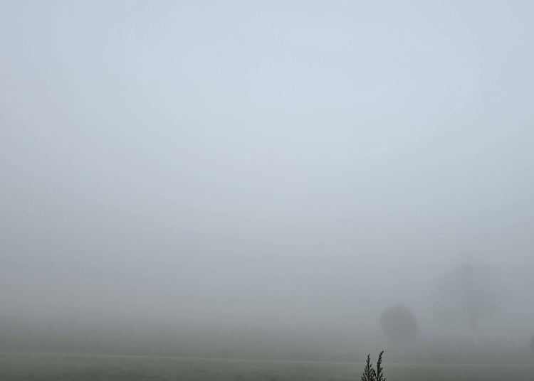 judetul constanta sub cod galben de ceata densa 69e1c907d33c6