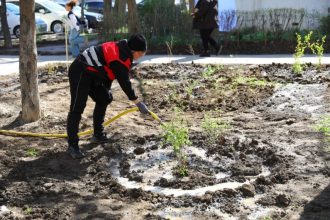 lucrari de reabilitare si plantari de arbusti ornamentali pe aleea hortensiei din constanta 69cd399cbcce2