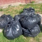 modificari in programul de colectare a deseurilor menajere anuntate de primaria poarta alba 69d72ed2bd617