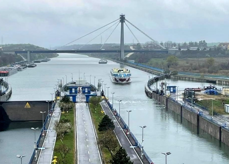 nume sonore si au incercat norocul pentru un loc in consiliul de administratie al acn constanta 69dd8de841ad9