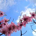 prognoza meteo pentru aceasta saptamana 69dcad264880c