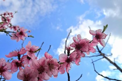 prognoza meteo pentru aceasta saptamana 69dcad264880c