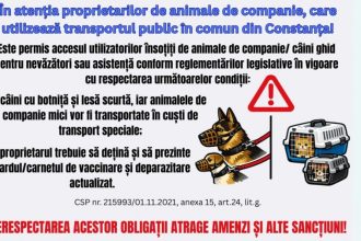 reguli pentru transportul animalelor de companie in constanta ce obligatii au stapanii care circula cu autobuzele ct bus 69e70e3d1abdc