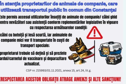 reguli pentru transportul animalelor de companie in constanta ce obligatii au stapanii care circula cu autobuzele ct bus 69e70e3d1abdc