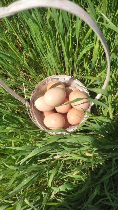 sambata lui lazar obiceiuri stravechi si legenda lazarelului in satul traditional romanesc 69d11199bc166