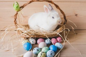 secretul iepurasului de pasti simbol vechi transformat in bucurie moderna 69d8ad809f4a3