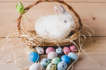 secretul iepurasului de pasti simbol vechi transformat in bucurie moderna 69d8ad809f4a3