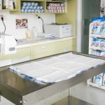 spatiu dedicat pentru cei mai mici pacienti la spitalul veterinar vetzone 69d0e4cda81e2