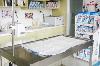 spatiu dedicat pentru cei mai mici pacienti la spitalul veterinar vetzone 69d0e4cda81e2