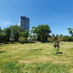 spatiul verde de la perla tot mai aproape de beton cine sunt politcienii care au pus la cale investitia din mamaia 69dc3c694969c