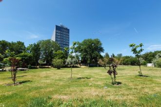 spatiul verde de la perla tot mai aproape de beton cine sunt politcienii care au pus la cale investitia din mamaia 69dc3c694969c