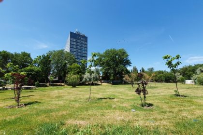 spatiul verde de la perla tot mai aproape de beton cine sunt politcienii care au pus la cale investitia din mamaia 69dc3c694969c