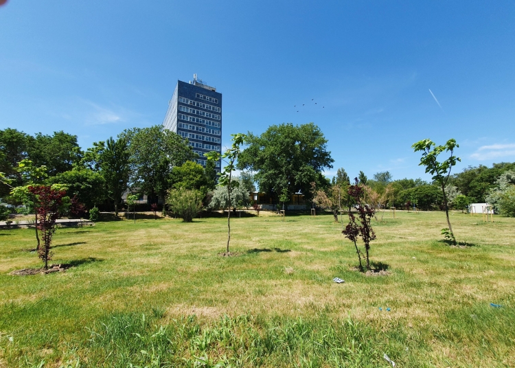 spatiul verde de la perla tot mai aproape de beton cine sunt politcienii care au pus la cale investitia din mamaia 69dc3c694969c