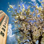 temperaturi in scadere brusca in dobrogea urmate de o noua incalzire 69d380a64e4b2