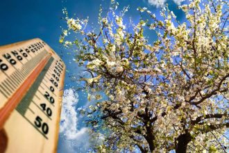 temperaturi in scadere brusca in dobrogea urmate de o noua incalzire 69d380a64e4b2