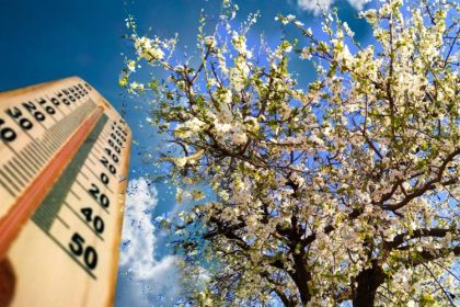 temperaturi in scadere brusca in dobrogea urmate de o noua incalzire 69d380a64e4b2