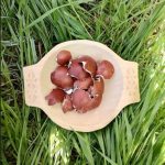 traditii de pastele blajinilor 69e5f16b9c9fe