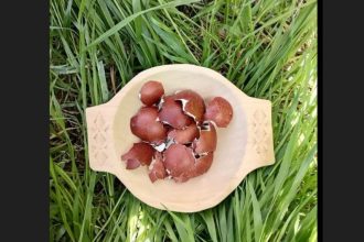 traditii de pastele blajinilor 69e5f16b9c9fe