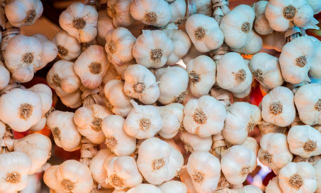 vesti bune de la madr se acorda sprijin pentru cultivatorii de usturoi document 69e74348873a6