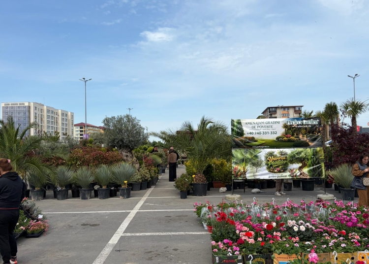 video ccina piata de flori revine la vivo trei zile dedicate iubitorilor de plante si gradinarit 69eb34b10275a