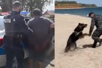 video un individ a talharit o batrana de 90 de ani la chirnogeni a fost prins cu ajutorul unui caine politist 69de7161e8c11