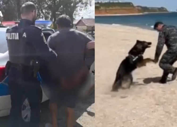 video un individ a talharit o batrana de 90 de ani la chirnogeni a fost prins cu ajutorul unui caine politist 69de7161e8c11
