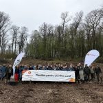 voluntarii rompetrol au plantat mii de puieti de paltin si stejar 69d3bffb841b4
