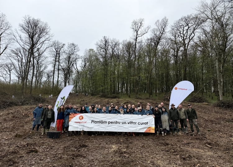 voluntarii rompetrol au plantat mii de puieti de paltin si stejar 69d3bffb841b4