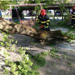 vremea rea a facut prapad in mai multe judete din tara un barbat va murit si alte trei persoane au ajuns la spital 69ef01e5bea4e