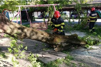 vremea rea a facut prapad in mai multe judete din tara un barbat va murit si alte trei persoane au ajuns la spital 69ef01e5bea4e